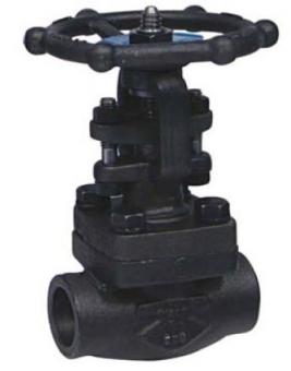 Gate valve Size 2" TRIM 12 - 1500 Lbs 